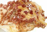 Ruby Red Vanadinite Crystals on White Barite - Morocco #231840-1